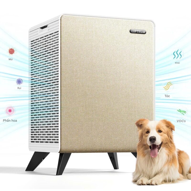Dòng Máy Lọc Không Khí Để Bàn C3510